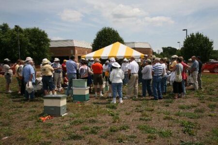 Learning About Bees and Beekeeping – Three U. S. Regional Associations Image